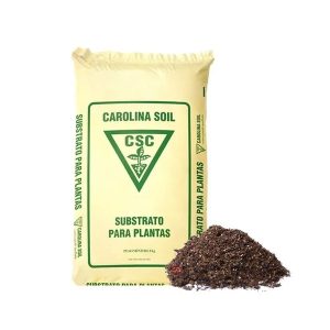 CAROLINA SOIL