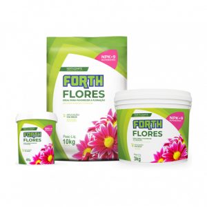 FORTH FLORES